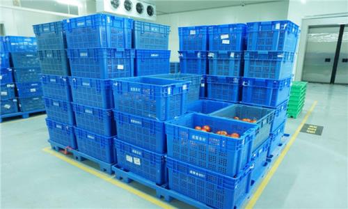 深圳送菜分享蔬菜食品的存放标准?